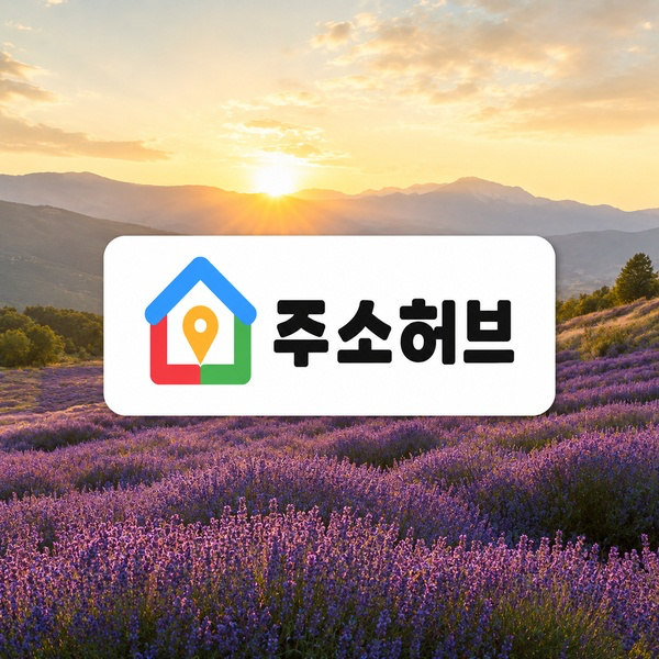 사이트모음의 카테고리